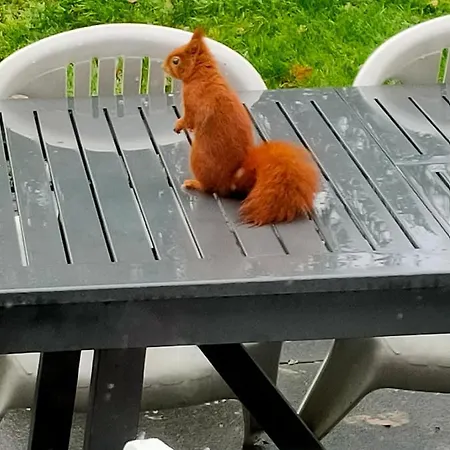 Nyaraló San Remigio