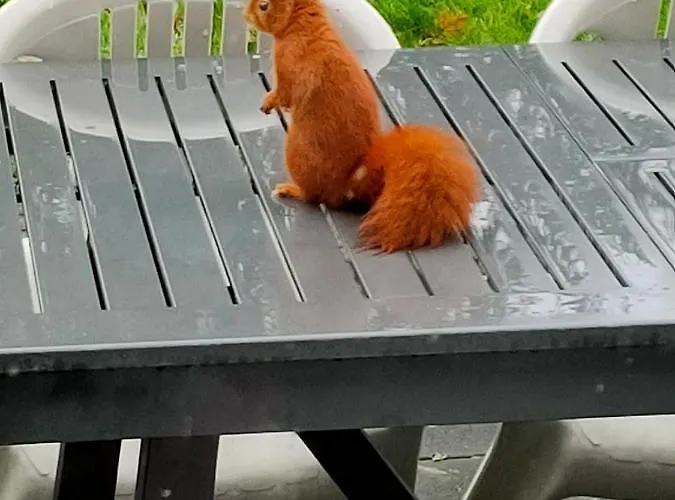 度假居 San Remigio